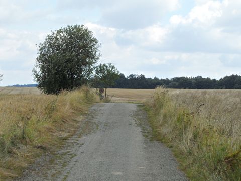 Foto 46